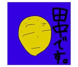 292407037