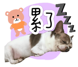 292415649