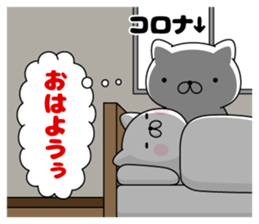 292522750