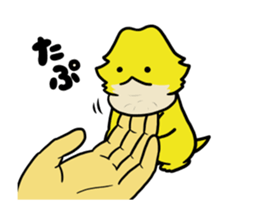 292582194