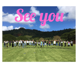 292616925