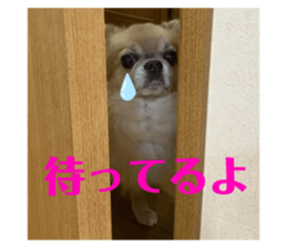 292625416