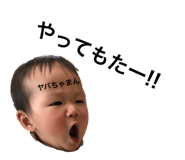 292628046