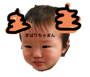 292628048