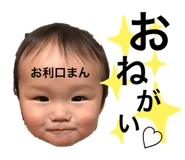292628050