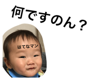 292628053