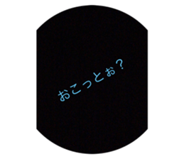 292637048