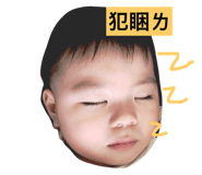 29264352