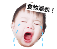 29264355
