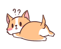 29270874