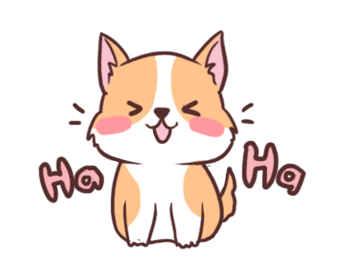 Coco the Cute Corgi รูปที่ 5