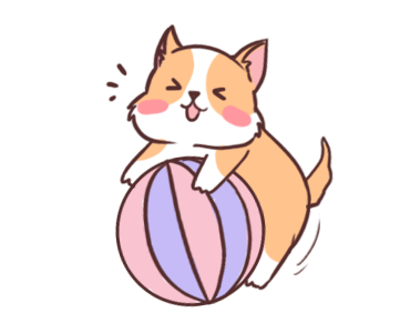 Coco the Cute Corgi รูปที่ 7