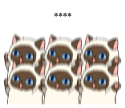 292748284
