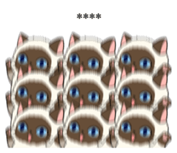 292748285