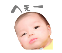 29279040