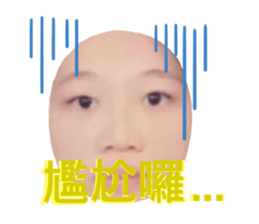 292880830