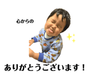 292915494