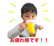 292915499
