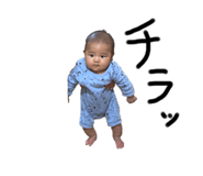292915500