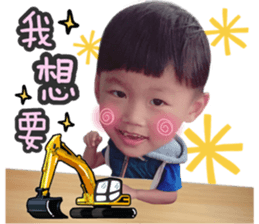 29294898