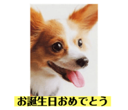292950817
