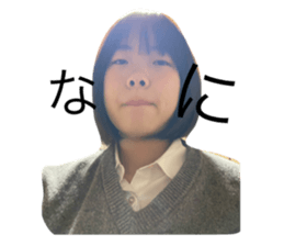 292951435