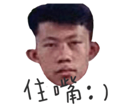293019114