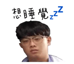 293019116