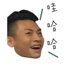 293019117