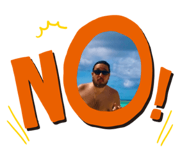 293019387