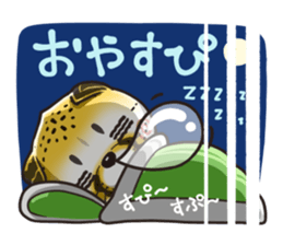 293035509