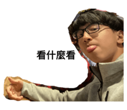 293036175