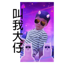 293078037