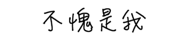 293128385