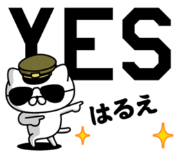 293134179