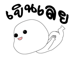 293156622