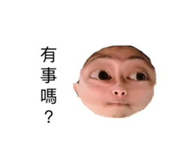 293218022