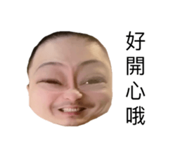 293218026