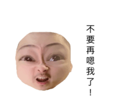 293218029