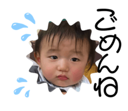 293228815