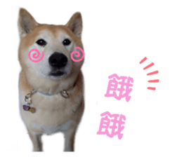 293231332
