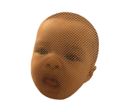 293233204