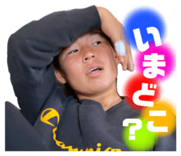 293269123
