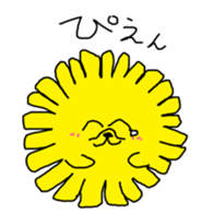 293291244