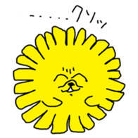 293291257