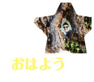293298334