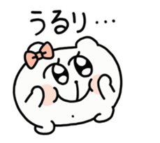 293312044