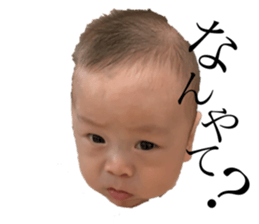 293320269