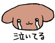 293322579
