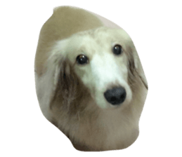 29335688
